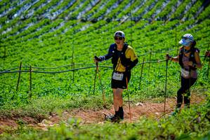 BIB: 
                            <button type="button" onclick="openModal(19164506)" class="btn btn-primary btn-sm float-right btn-popup" data-toggle="modal" data-target=".modal-high-quality">
                        <i class="fas fa-shopping-cart"></i> Add to Cart
                    </button>
                                            <button type="button" onclick="isThisMe(19164506, true)" class="btn btn-success btn-sm float-right btn-popup btn-isme hidden" data-toggle="tooltip" data-placement="bottom" title="นี่คือรูปของคุณใช่ไหม คลิกที่นี่เพื่อเอาเข้าอัลบั้ม">
                        <i class="fas fa-plus"></i> Add to album
                    </button>
                    <button type="button" onclick="isThisMe(19164506, false)" class="btn btn-warning btn-sm float-right btn-popup btn-isnotme hidden">
                        <i class="fas fa-ban"></i> Remove from album
                    </button>